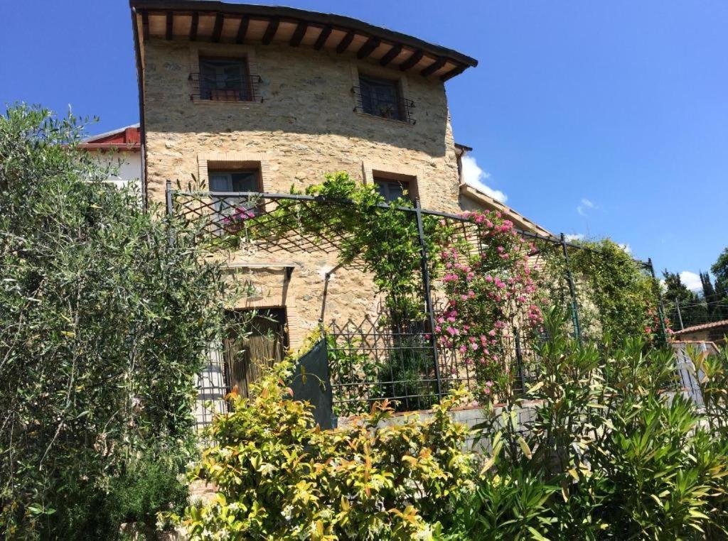 La Casina Delle Rondini Guest House Corsanico-Bargecchia ภายนอก รูปภาพ