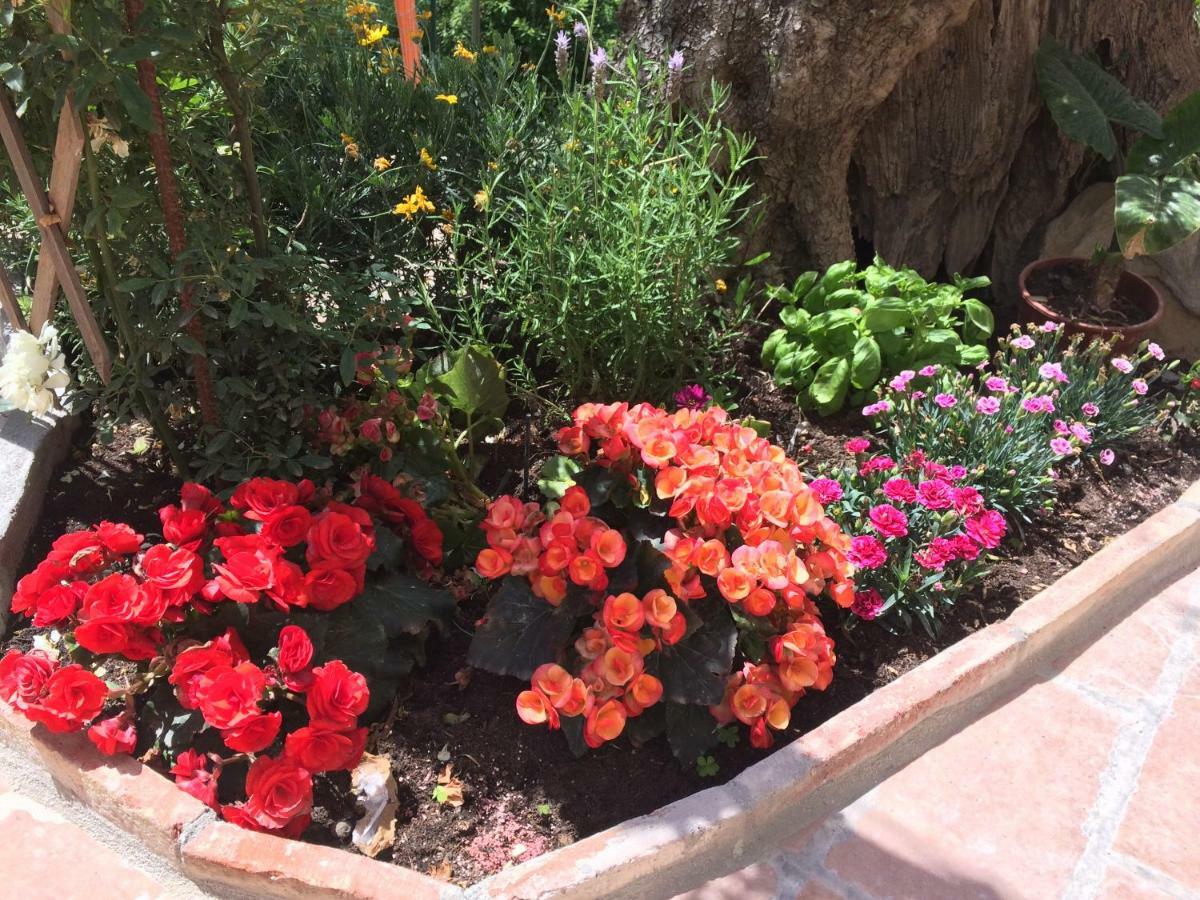 La Casina Delle Rondini Guest House Corsanico-Bargecchia ภายนอก รูปภาพ