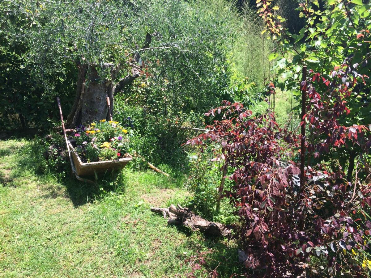 La Casina Delle Rondini Guest House Corsanico-Bargecchia ภายนอก รูปภาพ