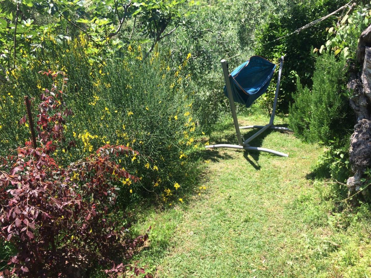La Casina Delle Rondini Guest House Corsanico-Bargecchia ภายนอก รูปภาพ